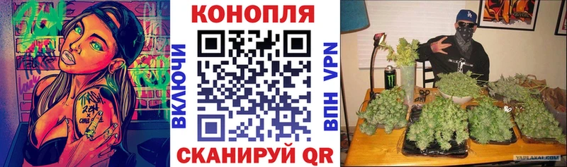 OMG как зайти  Фёдоровский  Марихуана MAZAR 